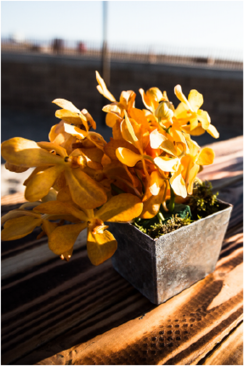 Event Floral Design Orange Orchids