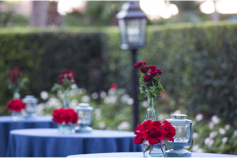Event Floral Design Red Roses Blue