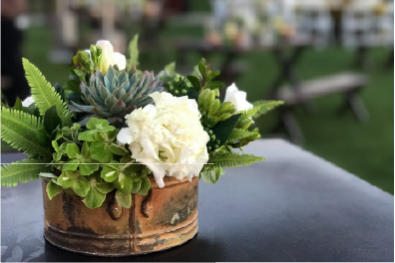 Event Floral Design Succulents And White Roses