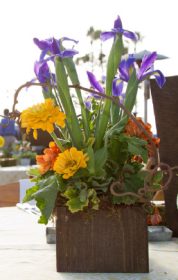 Event-Floral-Design-Kiwi-Branches