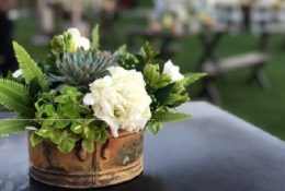 Event-Floral-Design-Succulents-and-White-Roses